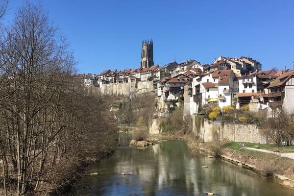 Équipe Marrow Fribourg
